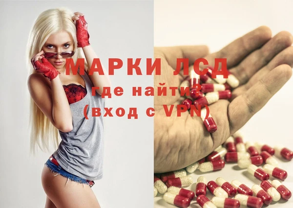 мяу мяу мука Аркадак