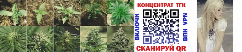 ссылка на мегу как зайти  Пестово  ТГК Wax 
