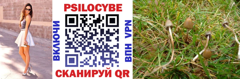 маркетплейс официальный сайт  Пестово  Псилоцибиновые грибы Magic Shrooms 